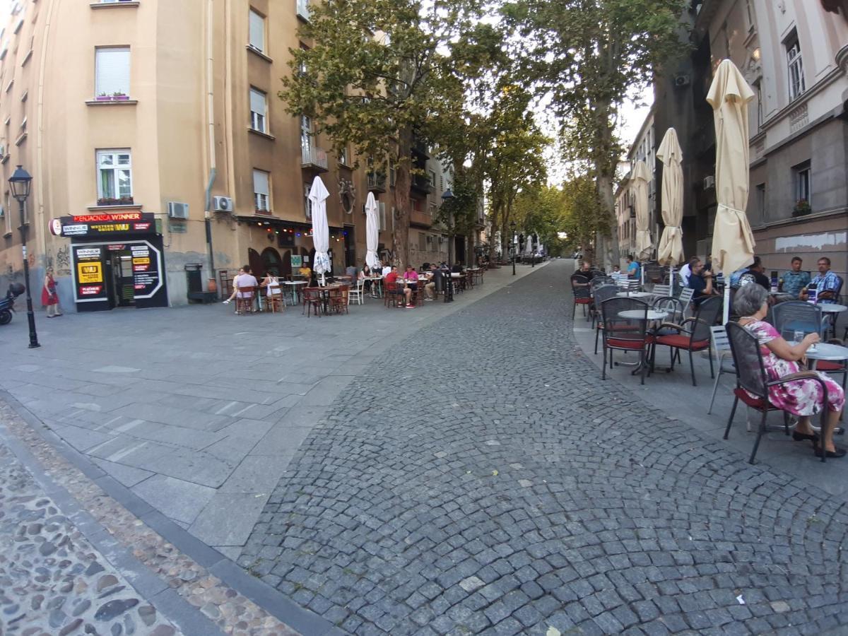 Rooster Apartments Belgrád Kültér fotó